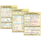 Комплект таблиц "Алгебра и начала анализа. Уравнения" (10 табл., формат А1, лам) - Оснащение школ и детских садов