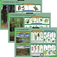 Комплект таблиц "Растения и окружающая среда" (7 таблиц) - Оснащение школ и детских садов