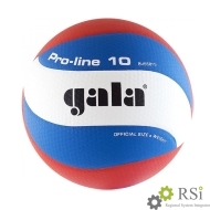 Мяч волейбольный для соревнований - Оснащение школ и детских садов