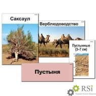 Модель-аппликация "Природные зоны России" (ламинированная) - Оснащение школ и детских садов