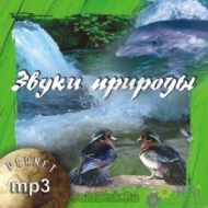 Аудозапись на CD / Музыка для релаксации и медитации. Звуки природы (mp3) - Оснащение школ и детских садов