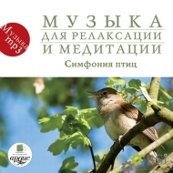 Аудозапись на CD / Музыка для релаксации и медитации. Симфония птиц (mp3) - Оснащение школ и детских садов