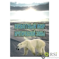 Учебный фильм "Животный мир Арктической зоны" - Оснащение школ и детских садов